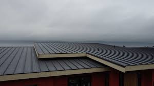 Best Rubber Roofing (EPDM, TPO)  in South Cleveland, TN